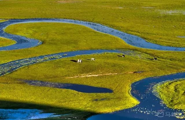 即将开通的山西的这条高铁将直达冬奥会举办地!居然只要40分钟