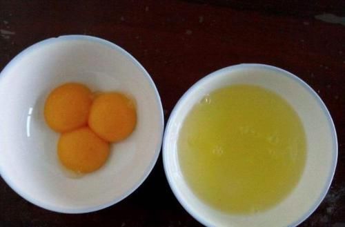  [日常]朋友在家养茶花，日常施肥就用'它'，一点不浪费，盆栽花开不停