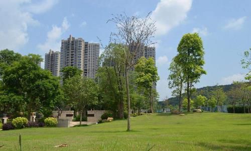  高层建筑：开发商和中介，都在宣扬高层建筑有多好，3个现实问题