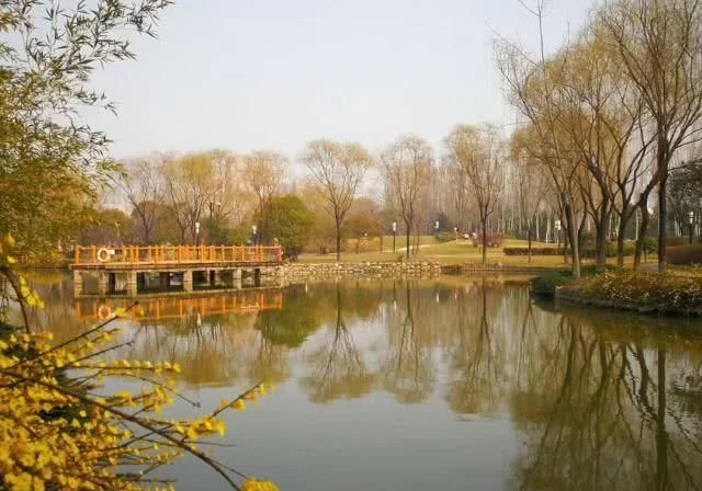 阳春三月,群芳争艳!来看西安这些“花花世界”的最佳踏春赏花指南