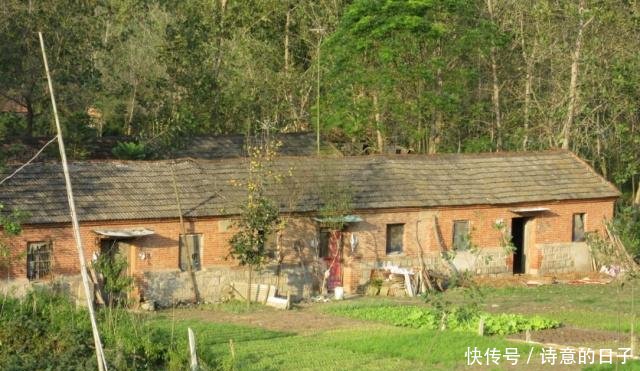 19年起，农村房屋整治加速推进，这5种房子将会统一拆除！