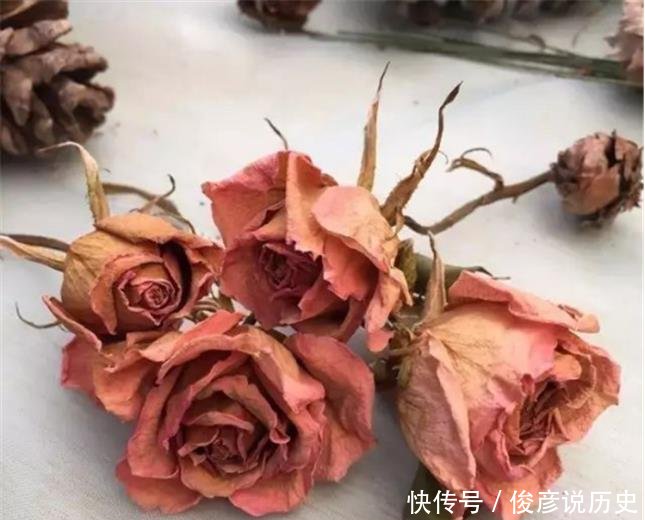  温柔@焦糖色烂大街今冬流行“干枯玫瑰粉”，高级感爆棚