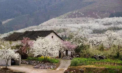 桂林的春天有多美？