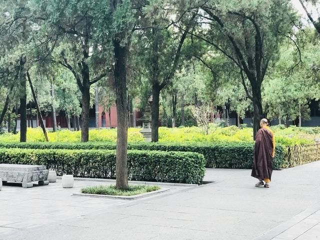 千年古刹～洛阳白马寺