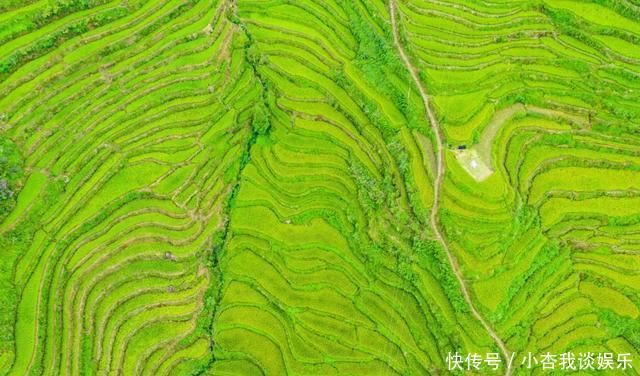 『名副其实』集桂林之秀、黄山之奇与华山之险,此仙境藏在浙江与福建的交界处
