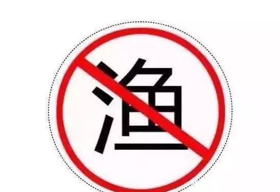  等级■长江已到“无鱼”等级！难道未来要依靠“人造鱼”