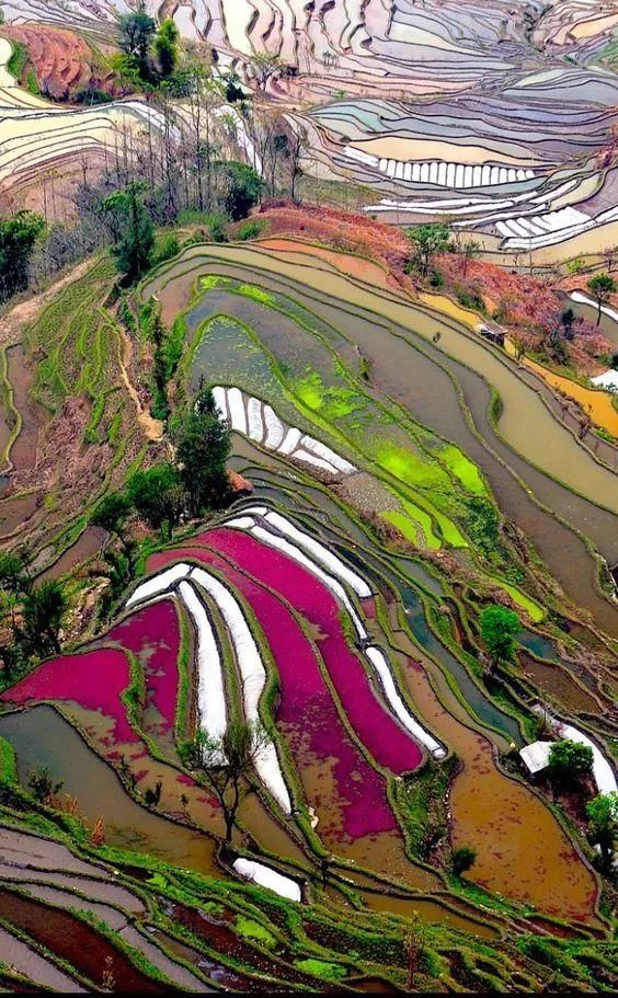 奇妙风光，难得一见