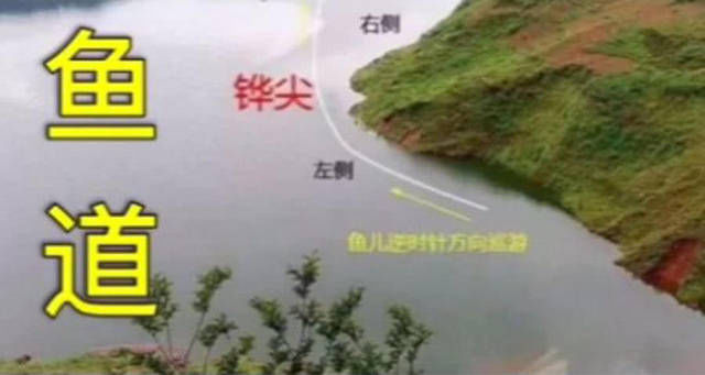 『屁股』为什么老钓手常说“屁股决定渔获”附图说明