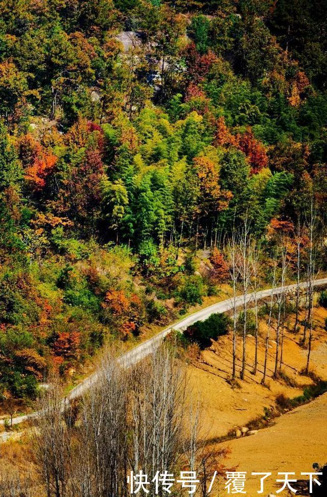 安徽旅游：大山深处一抹红，马丁公路、马鬃岭秋色美翻了