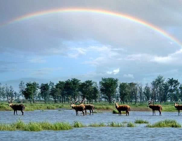 海拔仅为7米，国内唯一没有山的城市
