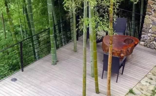  小院@理想中的乡村小院