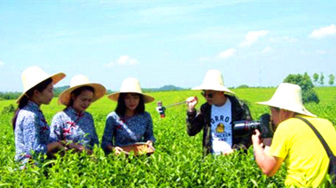  农村|生活在农村的年轻人2020年还担心创业吗？侧面是商机