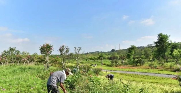  鸡蛋：俗语:“夏天吃鸡蛋,石头能踩烂”,鸡蛋真的有那么神奇?