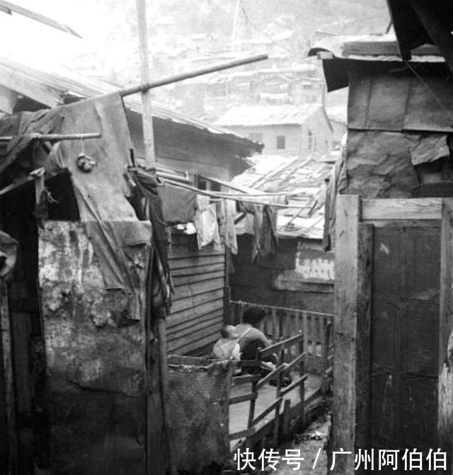  『木屋』香港1949年, 火灾前的石硖尾木屋区