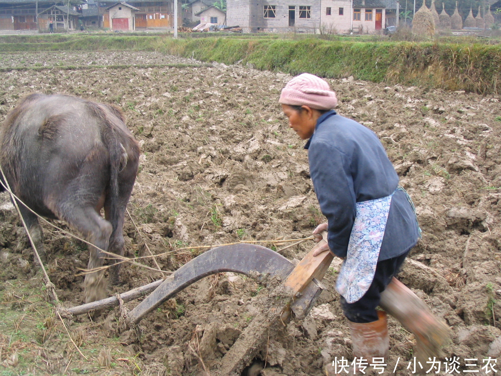 农村俗语:一针不补,十针难缝,你听过这句话吗