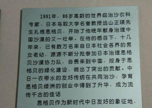 日本人花14年跑到中国治理沙漠,游客发现了背后的意图！