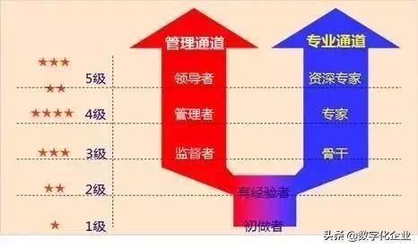  「人才」华为人才是怎样“管”出来的？学会后复工用得上