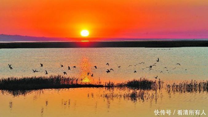 我国曾资源最丰富的湖泊,如今干涸到寸草不生,令人惋惜