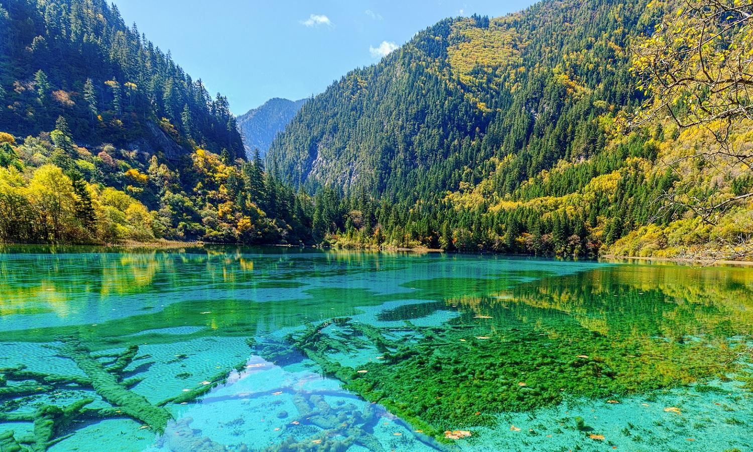 五光十色的九寨沟你去过么？感兴趣的朋友不妨来和我一起了解一下