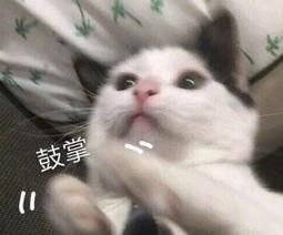  [涨钱]涨钱啦！这些沈阳人要涨工资，进来看看有你没？