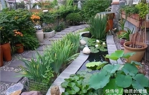  [院子]宅在家，能有个院子可真好啊