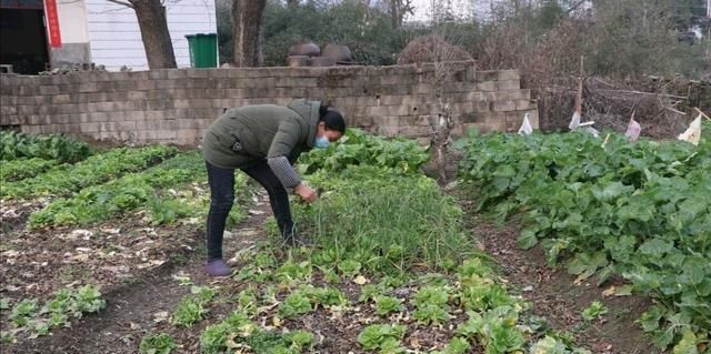  城乡差距：农村生活条件好了，农民生活压力却大了，村民：无非是这3个原因