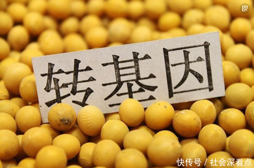 美国为何赔钱也要出口粮食给中国 大家给出了两种答案