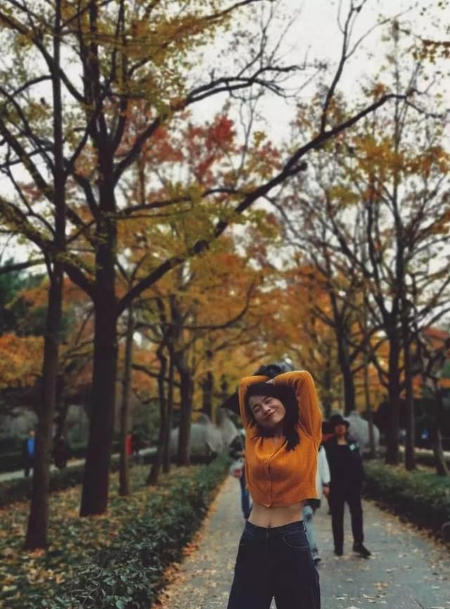 贝壳分享｜|看完这篇，又多了好多打卡地