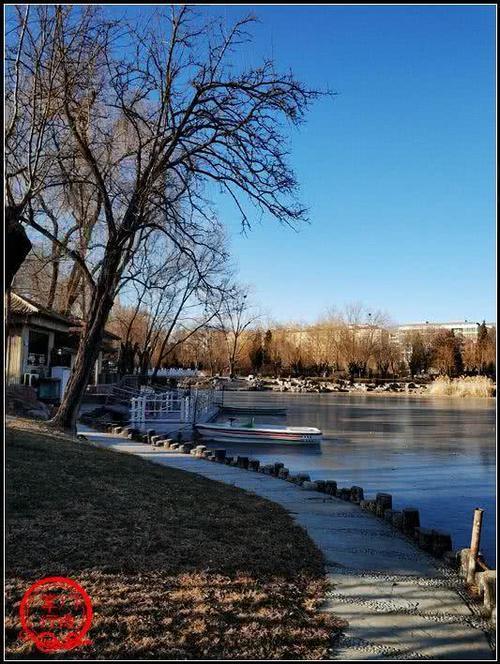 北京市内唯一一座具有田园风光的山村野趣公园，四头猪在路旁应景