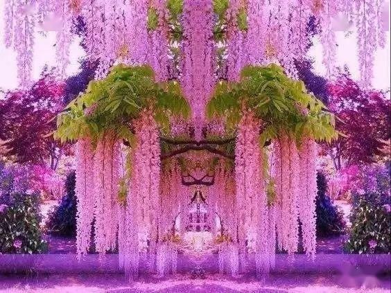  【漫步】春暖花开，谁能陪我漫步这么美的路？