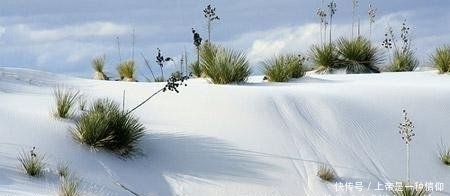 最匪夷所思的沙漠，在沙漠里还可以捕鱼，颠覆了所有人的认知