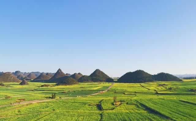 美过婺源！国内最适合全家游自驾赏花地，不收门票，美的鲜为人知