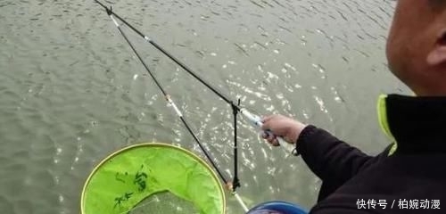 钓法|双钩钓法中,上钩中鱼和下钩中鱼的区别有哪些?是灵、还是顿?