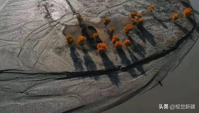 大山 沙漠 湖泊 金胡杨是大自然最完美的构图