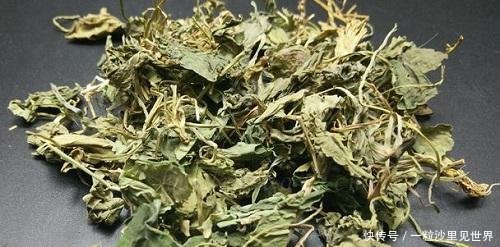  『老人』年轻人不懂的小紫花，老人见了很珍惜，价值高好看又好吃