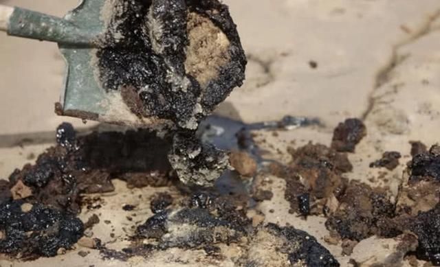  中卫：宁夏中卫回应林区污染：4.2万吨黑液已封存，对涉事公司立