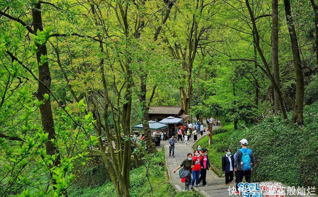 都江堰:境界丨四月芳菲 畅游都江堰