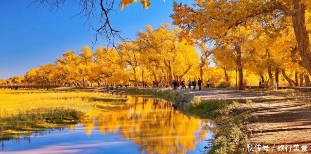 11月份国内最佳出游5大景点,自驾游的不二目的地,感受深秋美景