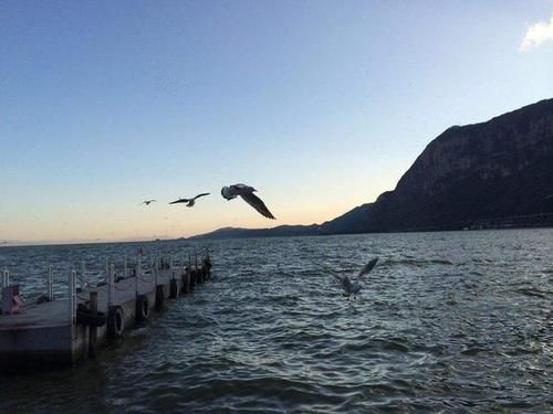 西南第一大湖：面积330平方千米，号称云南起源地但从来不要门票