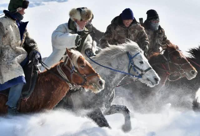 天马踏雪！这个冬天一定要来昭苏感受一下……