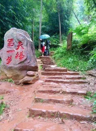 登录查看大图