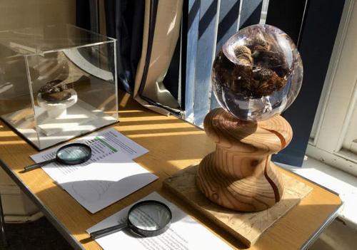 一个“有味道”的景点，各国游客慕名前往，导游：来之前别吃饭