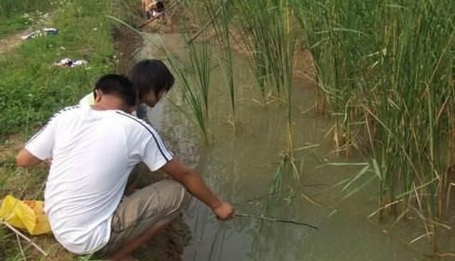  【钓虾】细数传统民间钓法钓虾的钓法，简单易学很好用