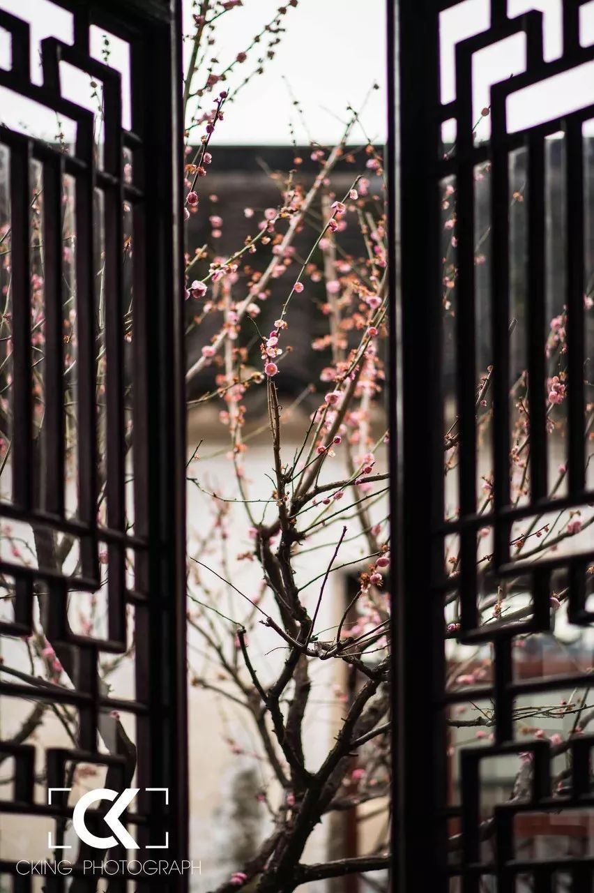 这才是我想要的安逸慢城！愿遇一人白首，择此城终老~