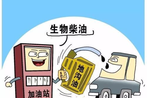  『汽车』食用油能用作汽车燃料吗？迪拜公司和麦当劳给出了答案