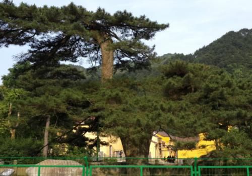 我国一5A级景区,因李白一首诗而改了名,素有“东南第一山”之称