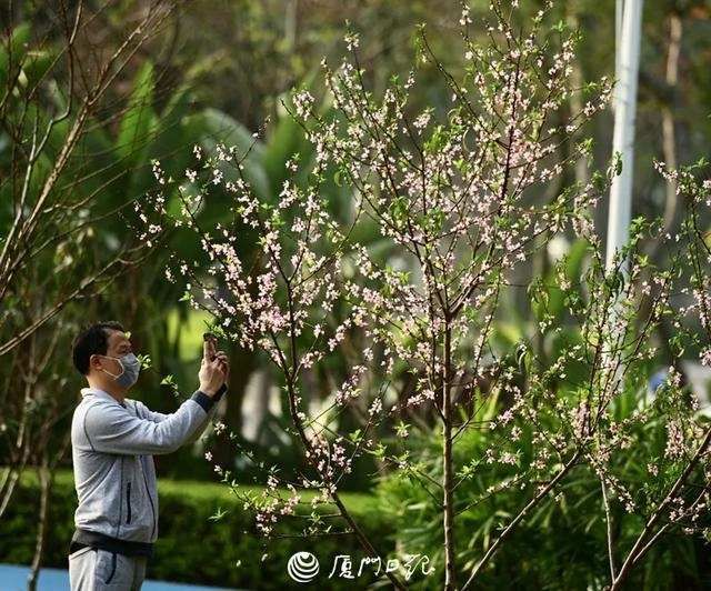  #厦门#荣誉升级！厦门又多了一个新称号！福建唯一