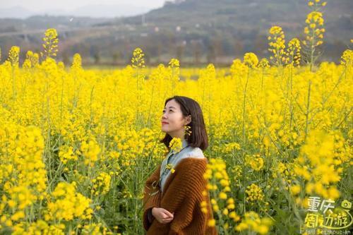 花开成海！再过一周重庆将美翻全国，14处美景玩转这个春天！