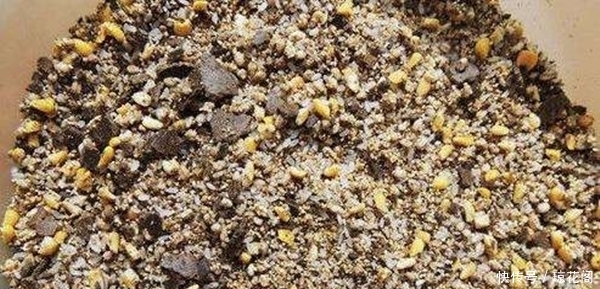  [秘密]水库钓鲤鱼的4个秘密绝招