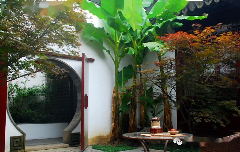 #中国#中国庭院,最是奢侈。